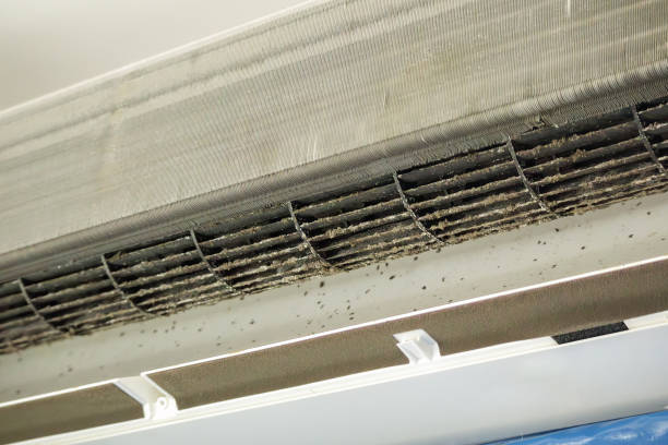 Best Emergency Air Duct Cleaning  in Tifton, GA